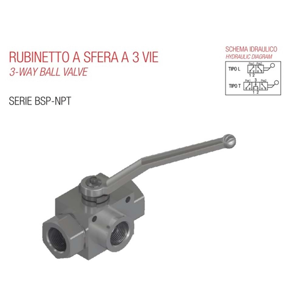 PIOTTI 5301110000 RS31/4L