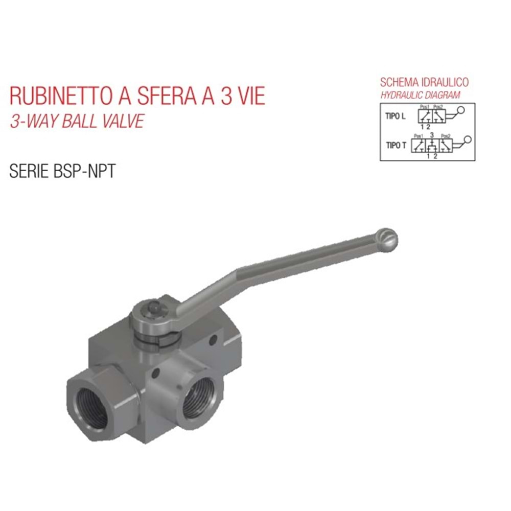 PIOTTI 5306100000 RS311/4T